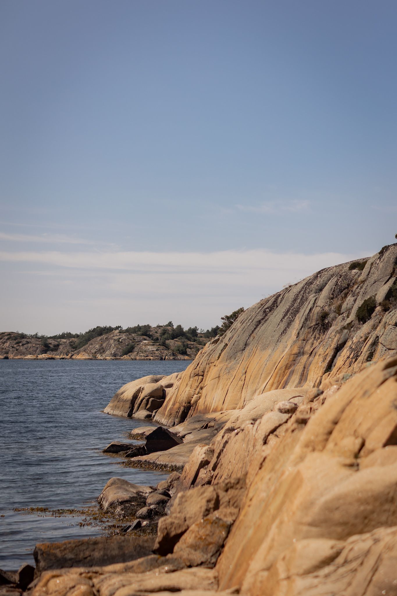 Theresé Thörne, Bröllopsfotograf Västkusten, Bröllopsfotograf Stockholm