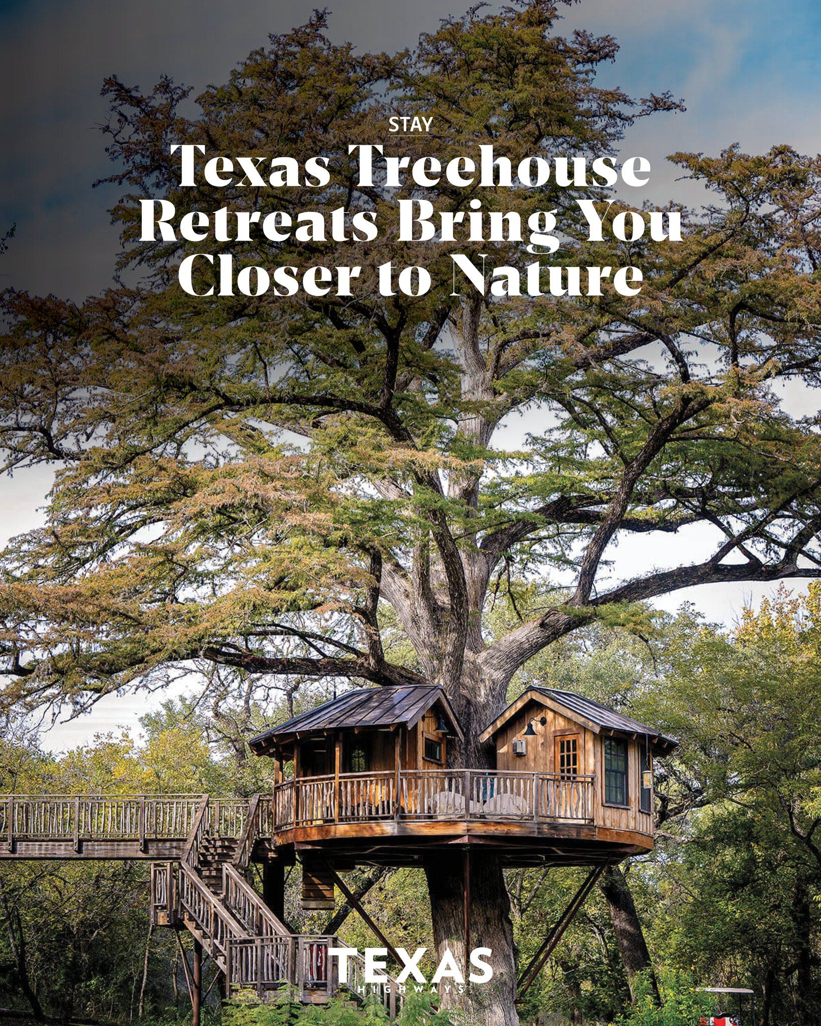 Rustic treehouse retreat nestled among towering trees with wooden walkways and decks in Texas Hill Country.