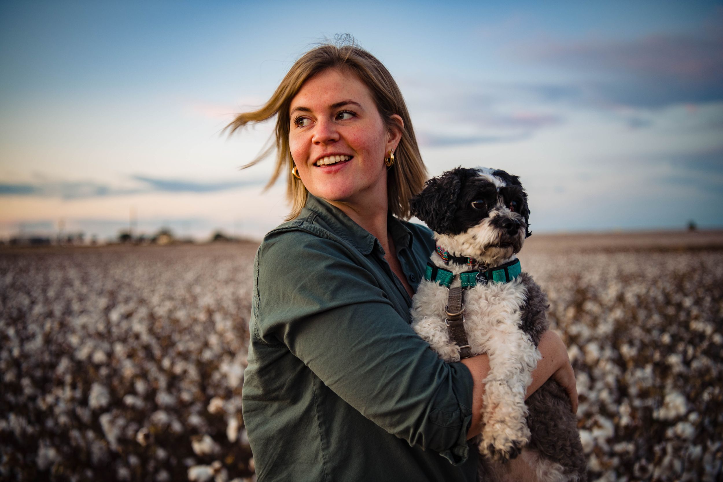 Someone wearing a green jacket holds a happy black and white dog in a cotton field at sunset.
