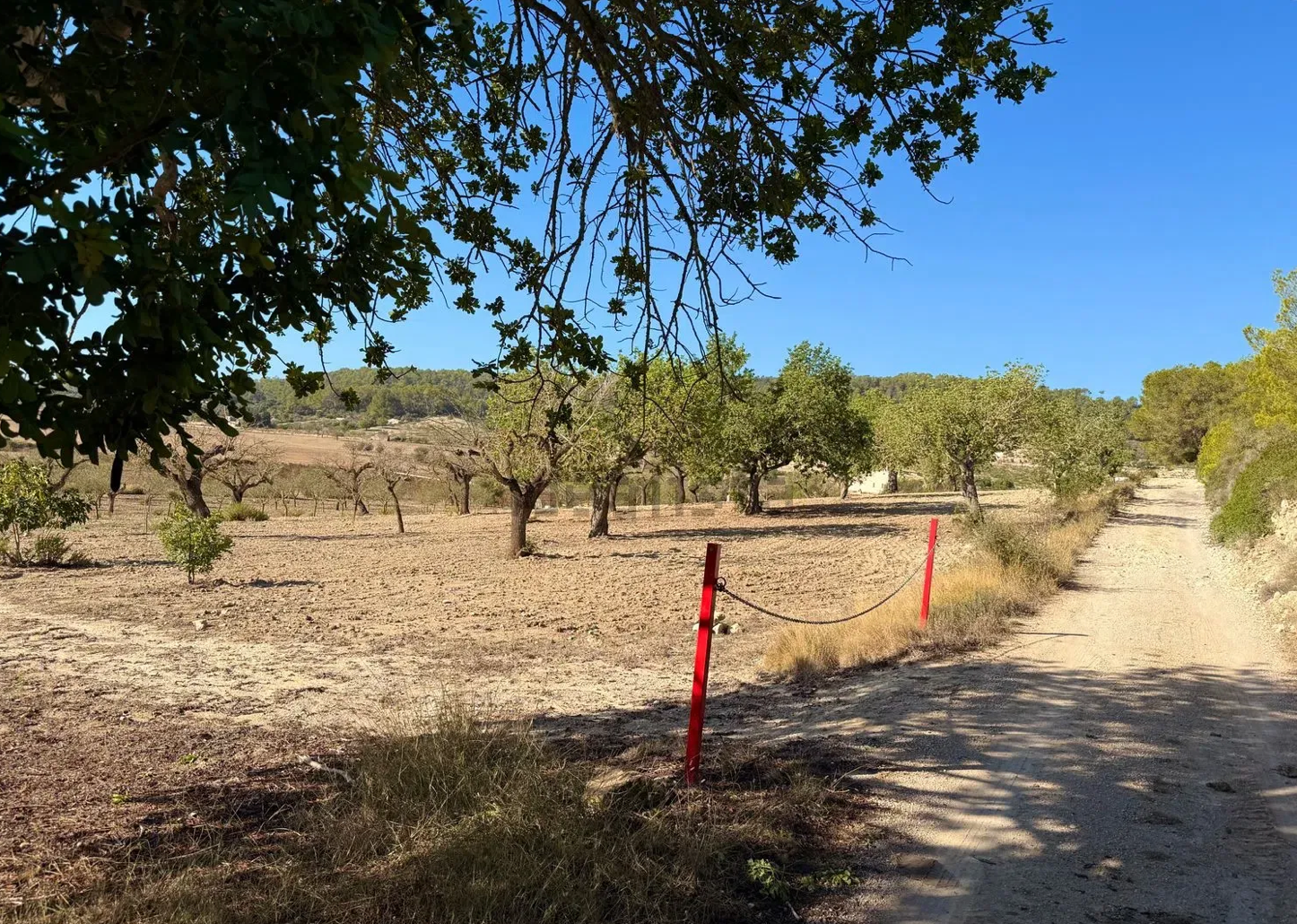 A dirt path winds through a dry landscape with scattered trees and a red marker post visible in the distance.