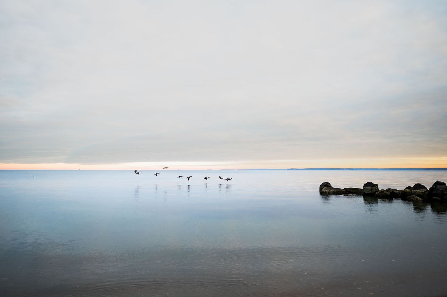 Silhouetted birds float on calm waters at sunset with a rocky breakwall in the distance.