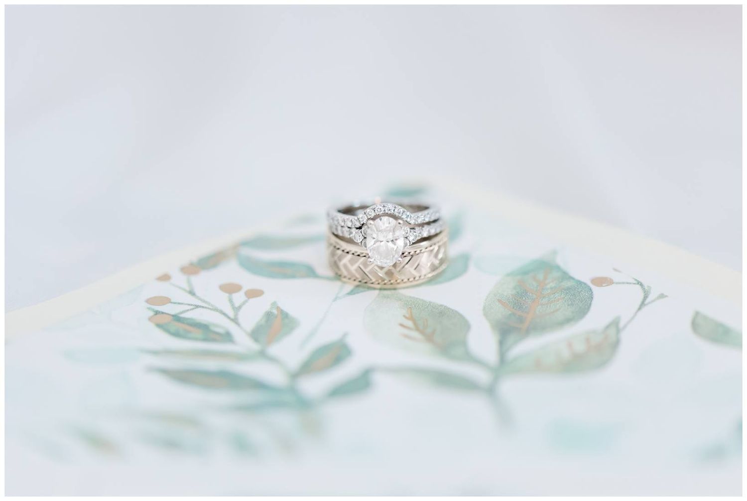 Elegant diamond engagement ring nestled among delicate mint green leaves on a soft white background.