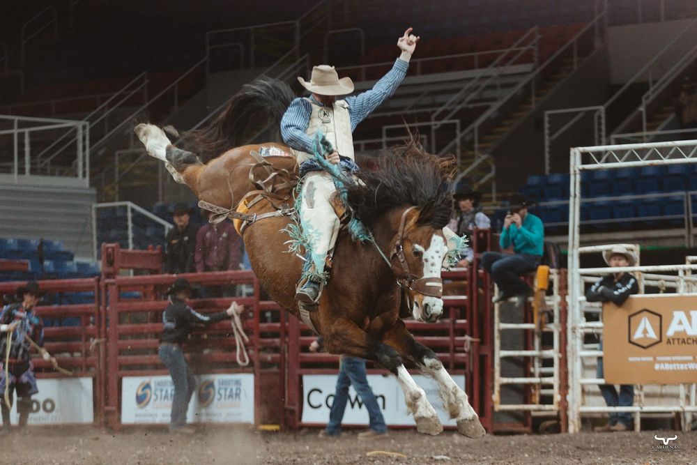 Bull rider competing in rodeo event on bucking bronco at indoor arena.