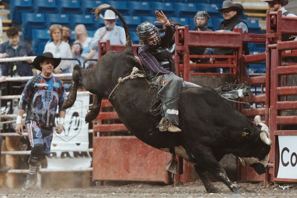 Bull rider maintaining balance on bucking bull during intense rodeo competition.