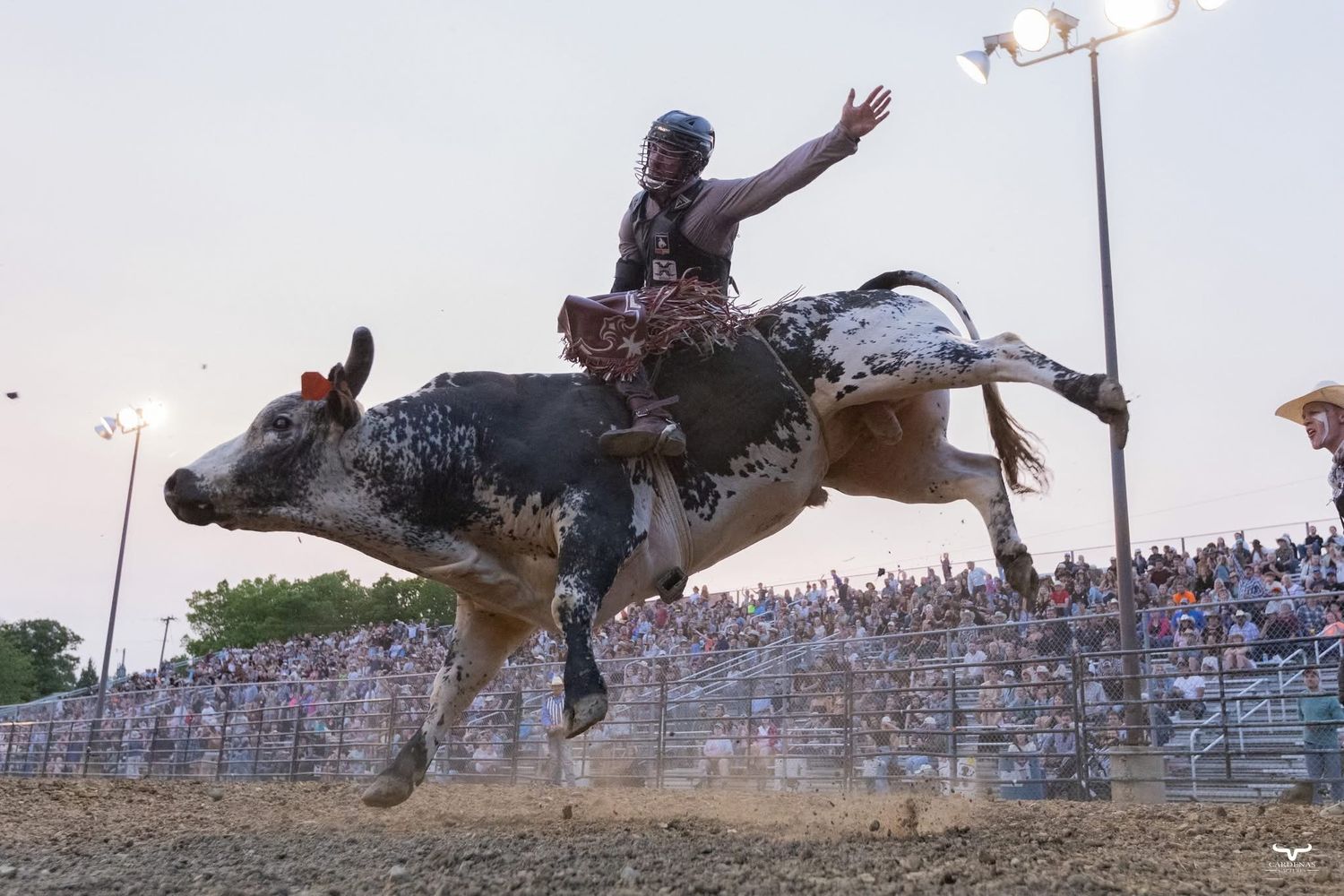 A bull rider in action at a rodeo arena during an evening performance. Pro Rodeo PRCA Rodeo Photographer Dakota Cardenas
