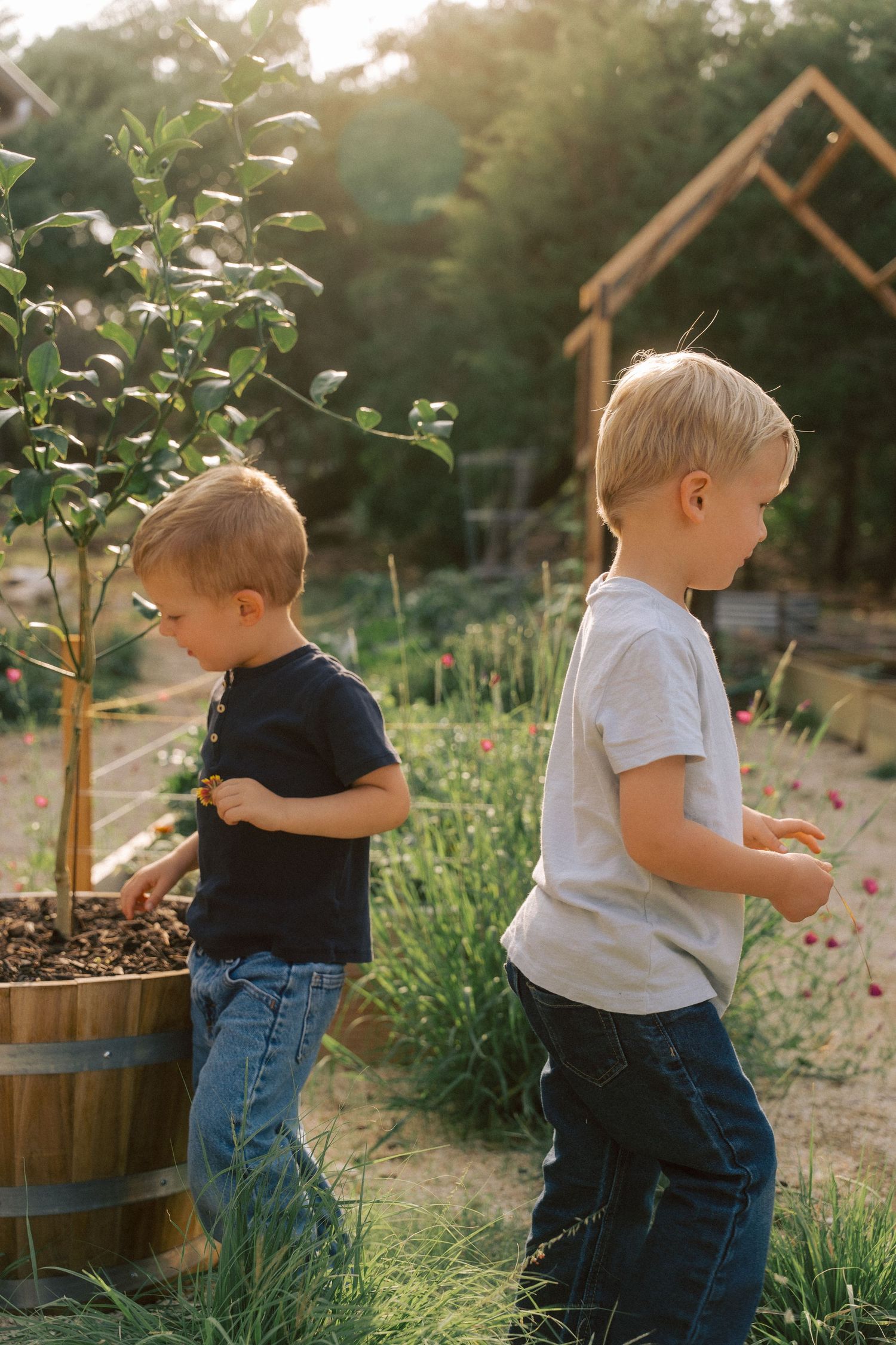 Small figure explores a lush garden setting with wooden planters and barrels during golden hour sunlight.