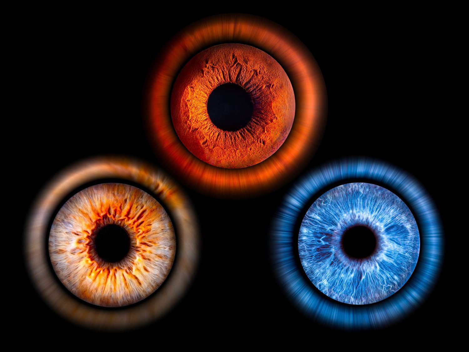 Artistic yin-yang symbol created with contrasting blue and orange eye iris patterns.