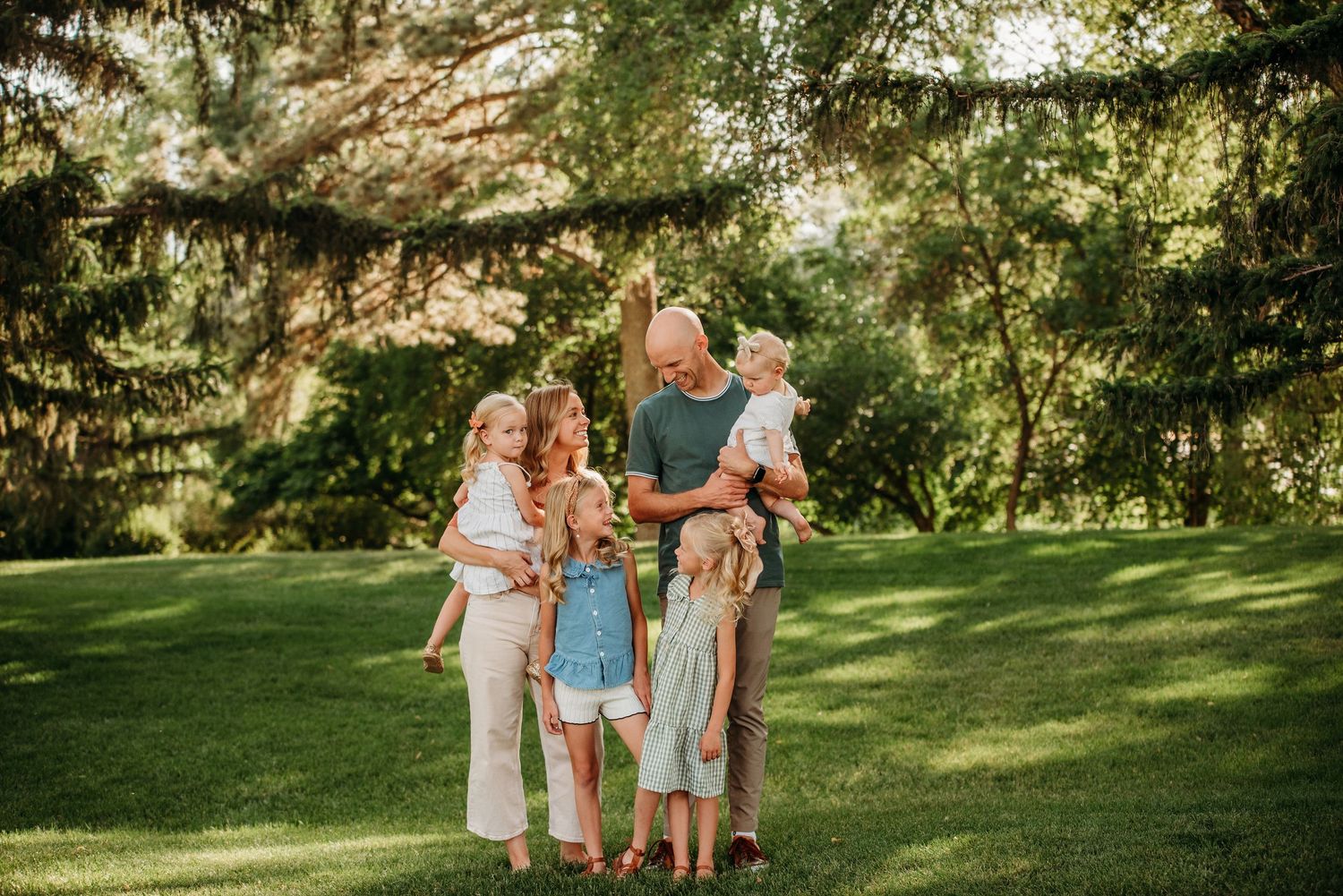 A group embraces while standing together on a sunny grassy lawn surrounded by evergreen trees.