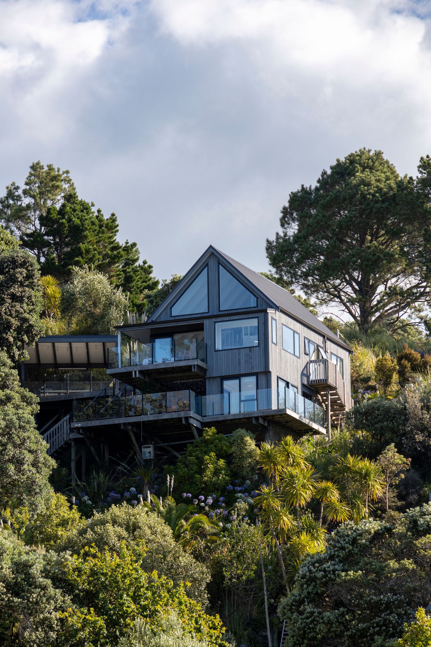Elevated timber-clad house nestled into native bush on a hillside.