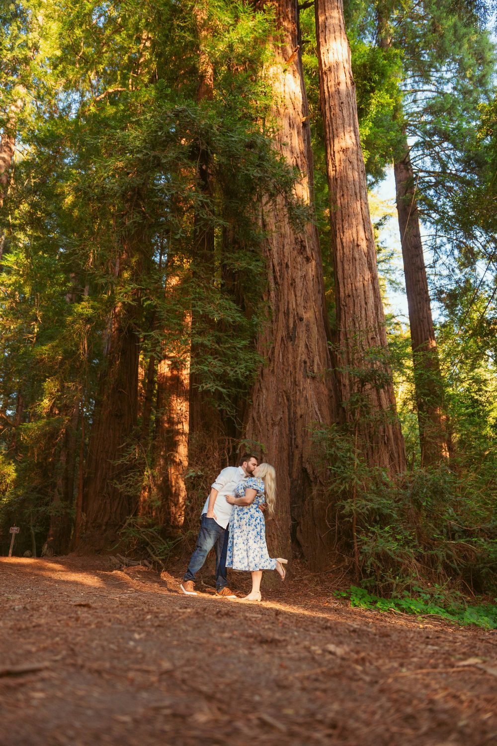 A romantic couple walks hand in hand along a sunlit path through towering redwood trees in a forest.