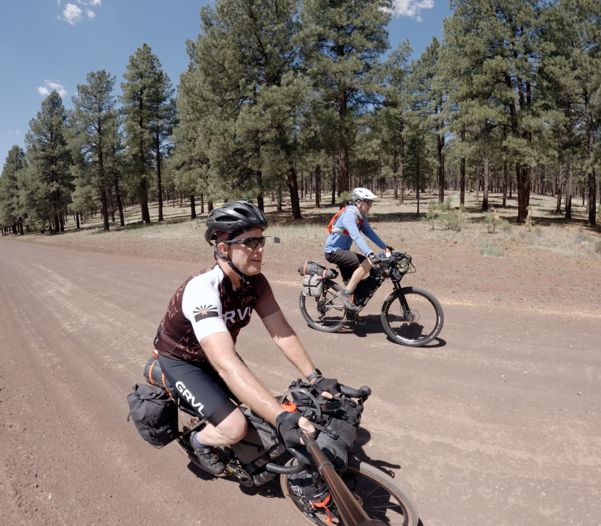 Mountain bikers riding on a dirt trail through a scenic pine forest on a sunny day.