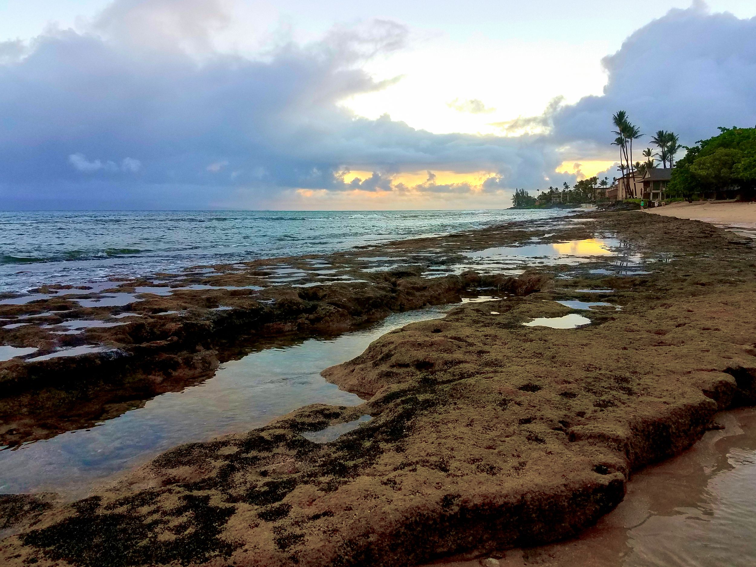 Dramatic sunset over a rocky Hawaiian beach with palm trees silhouetted against orange sky.