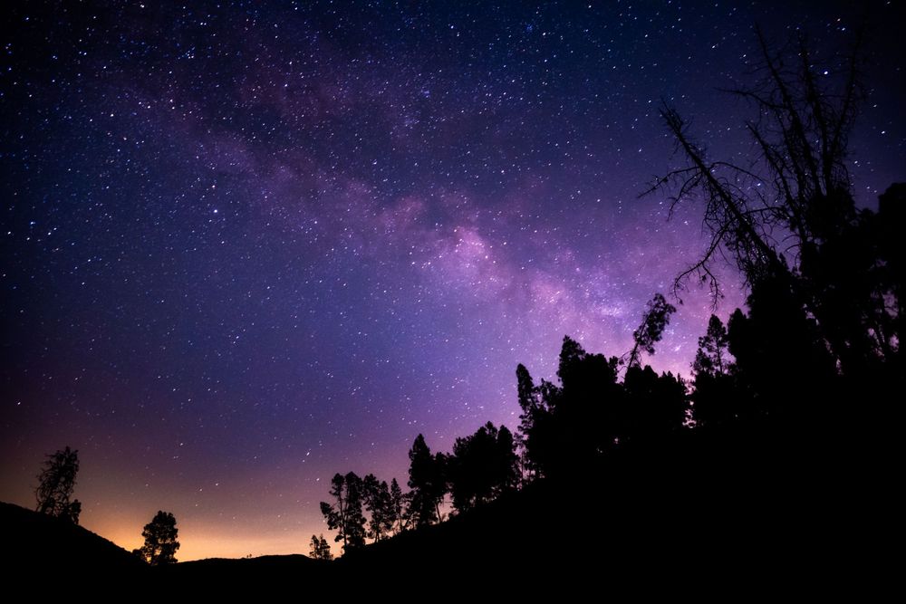 Silhouetted trees against a vibrant purple Milky Way galaxy in the night sky.