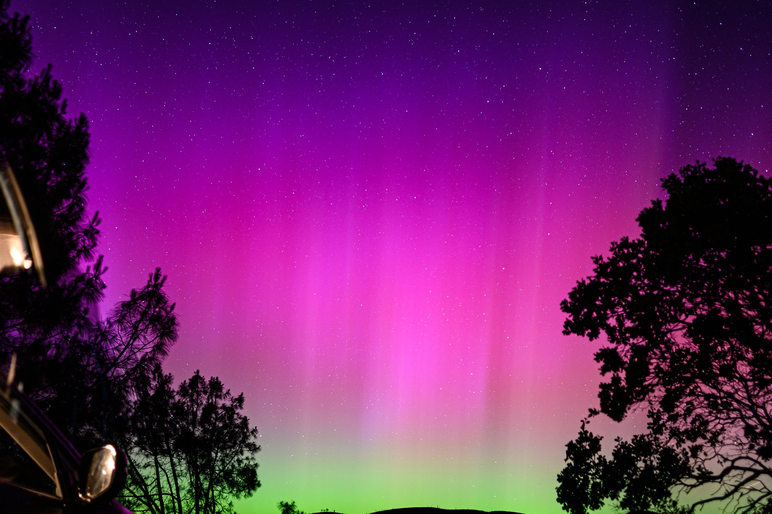 Stunning purple and green aurora borealis lighting up the night sky above dark tree silhouettes.