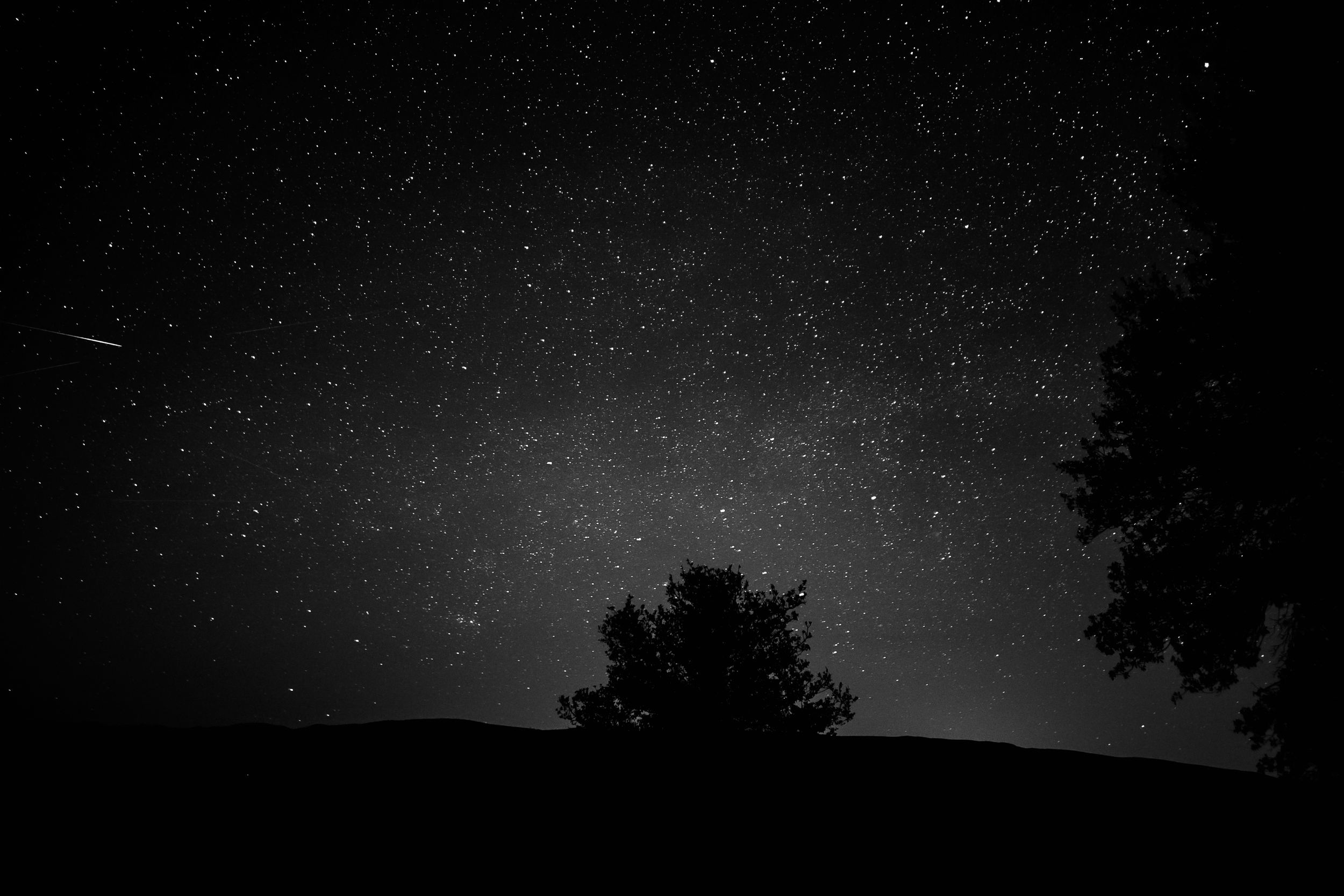 Night sky photography showing stars and tree silhouettes against dark background.