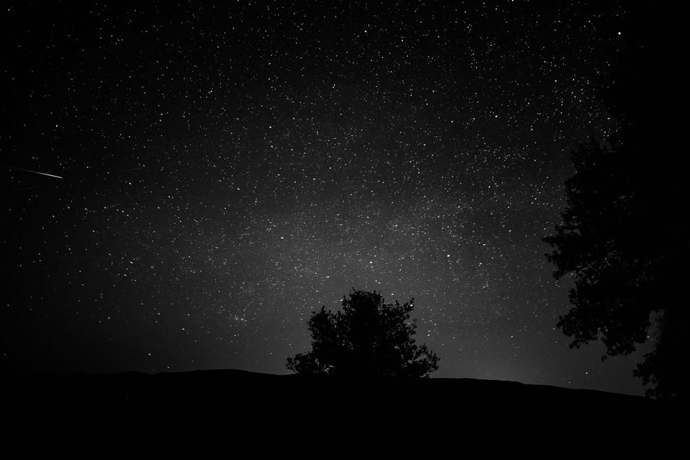 Night sky photography showing stars and tree silhouettes against dark background.