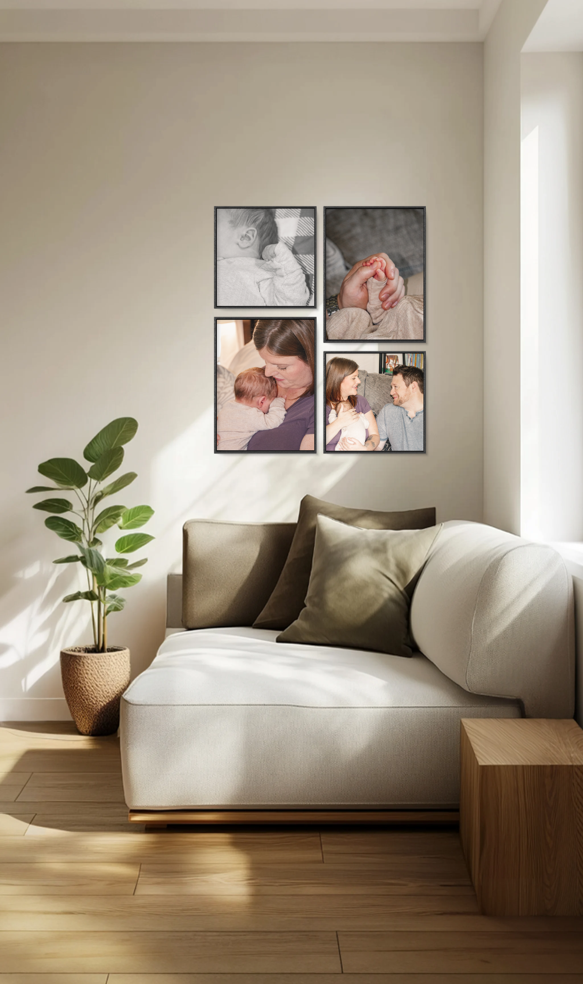 A modern living room featuring a cozy white & tan sofa w/ green pillows, a potted plant, and a gallery wall of four framed family photos