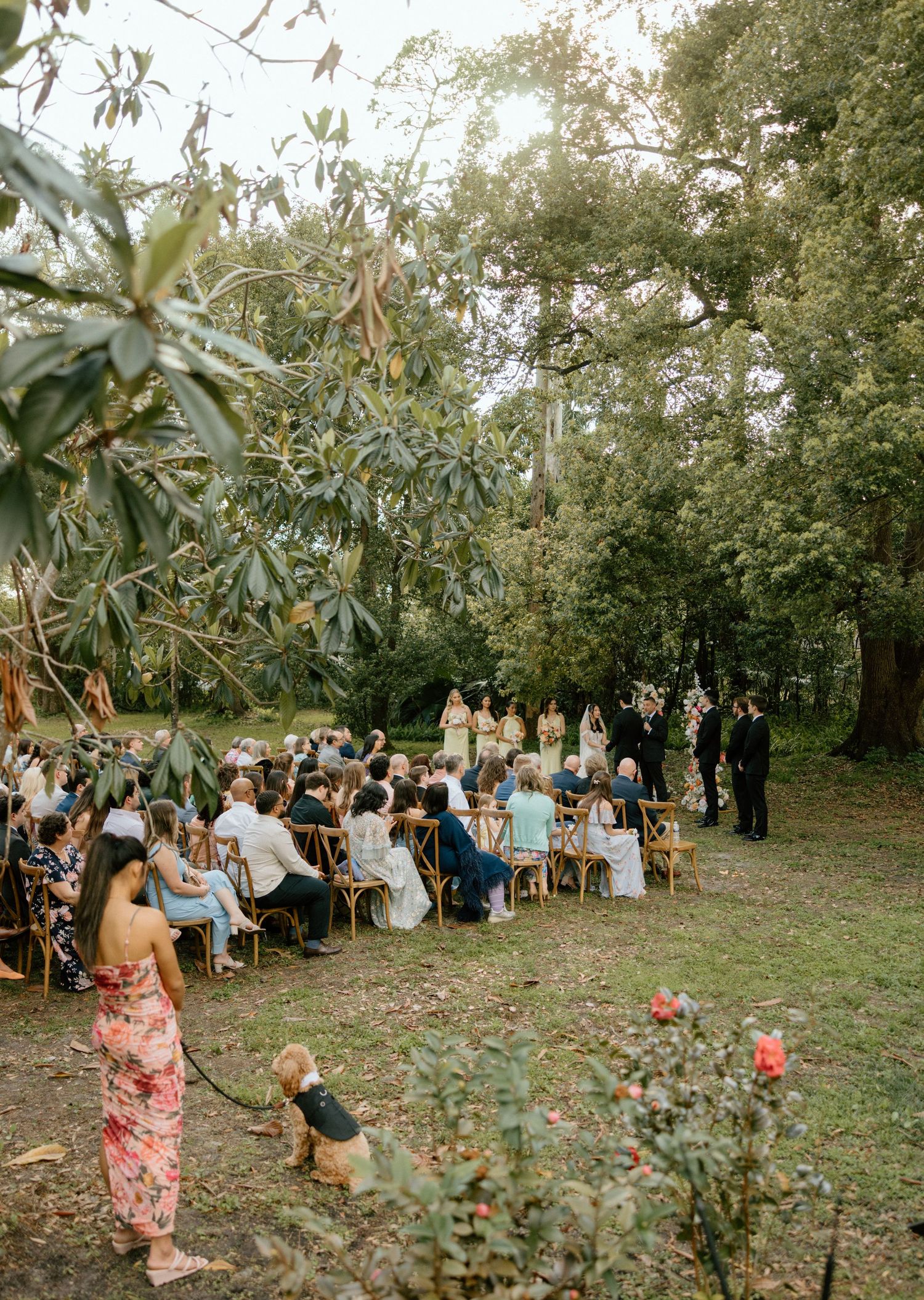 Overview of wedding guests seated in wooden chairs for an intimate outdoor garden ceremony.