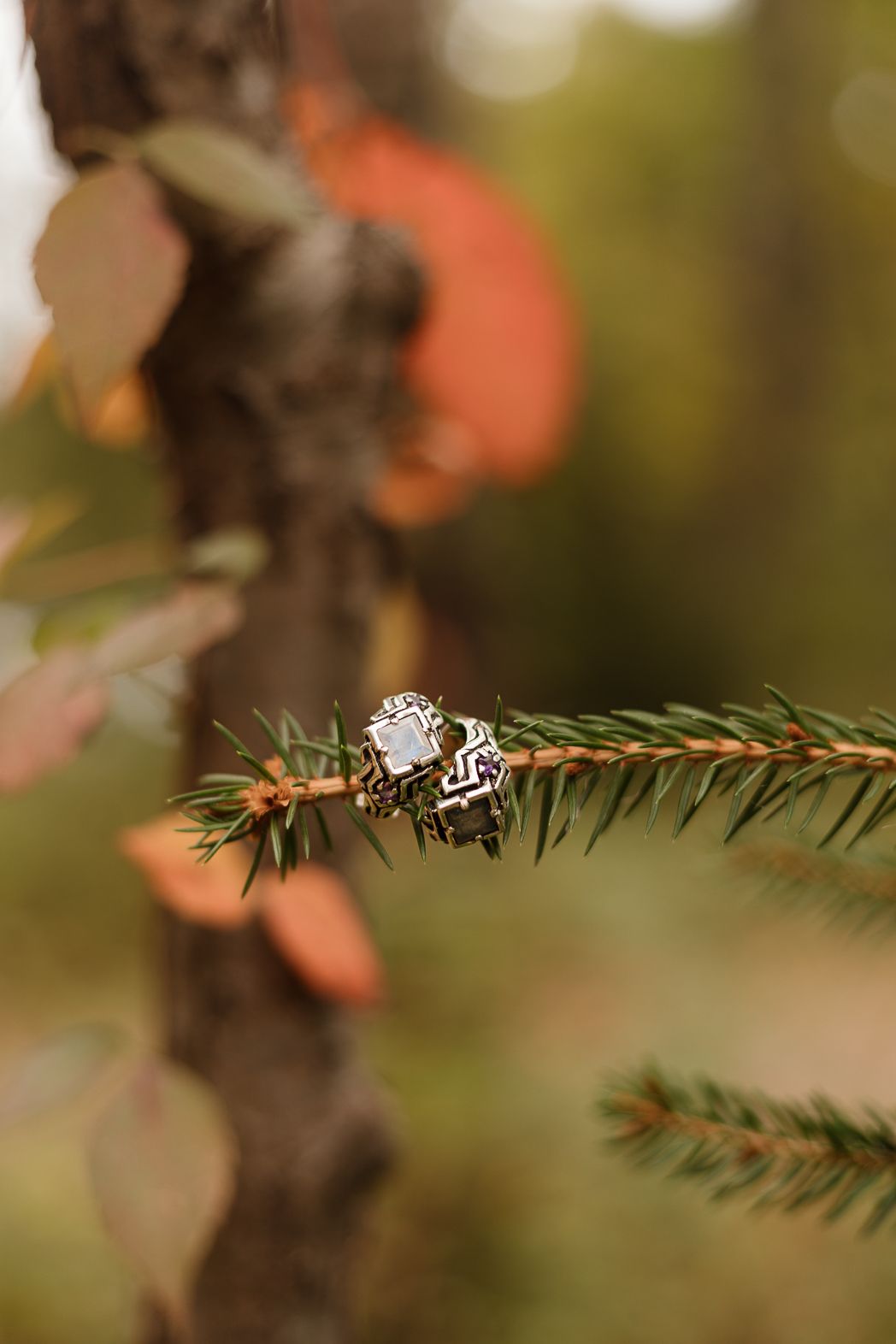 A sparkling engagement ring rests delicately on a pine branch with bokeh background.