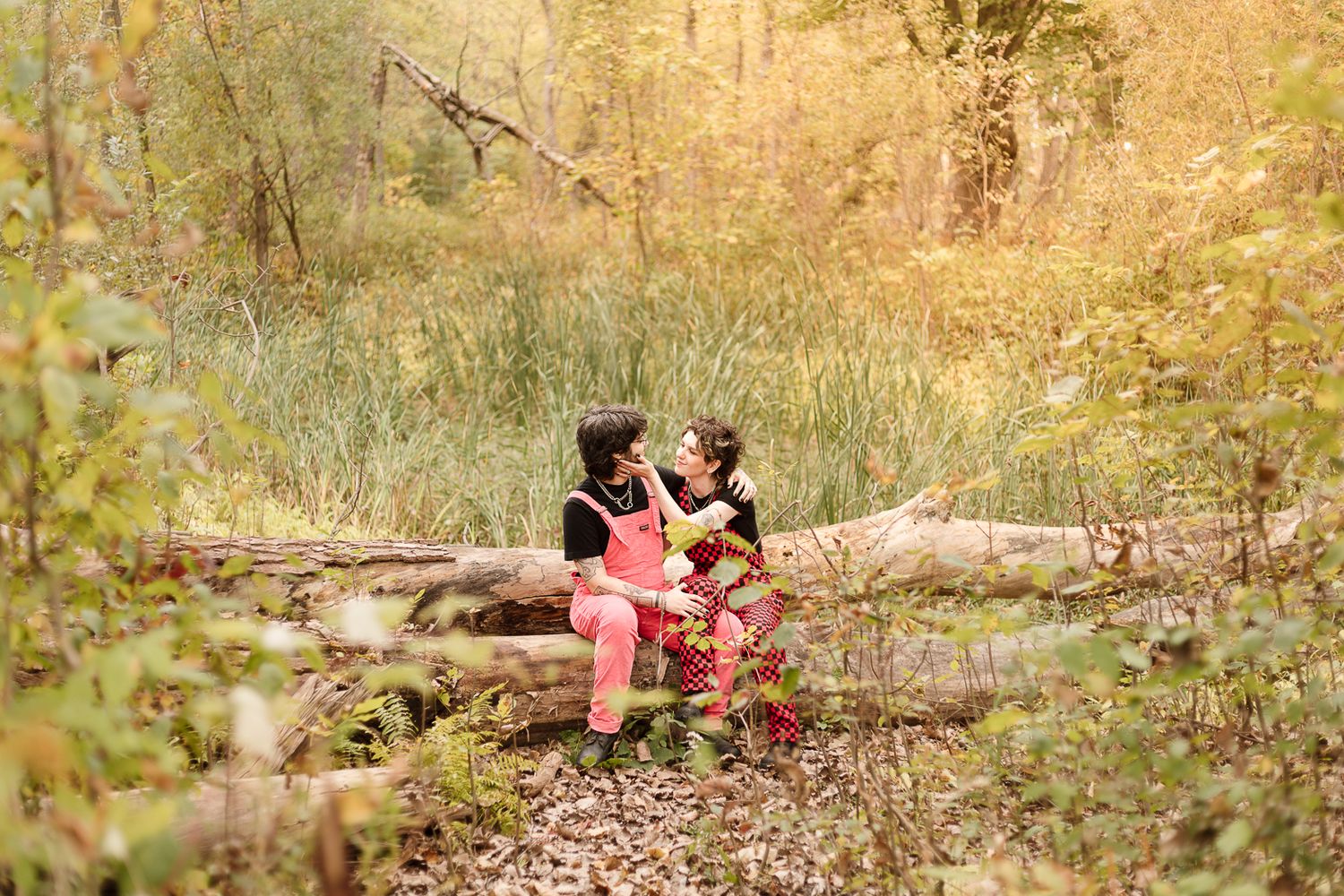 A couple shares a tender moment while sitting on logs in a sunlit forest clearing.