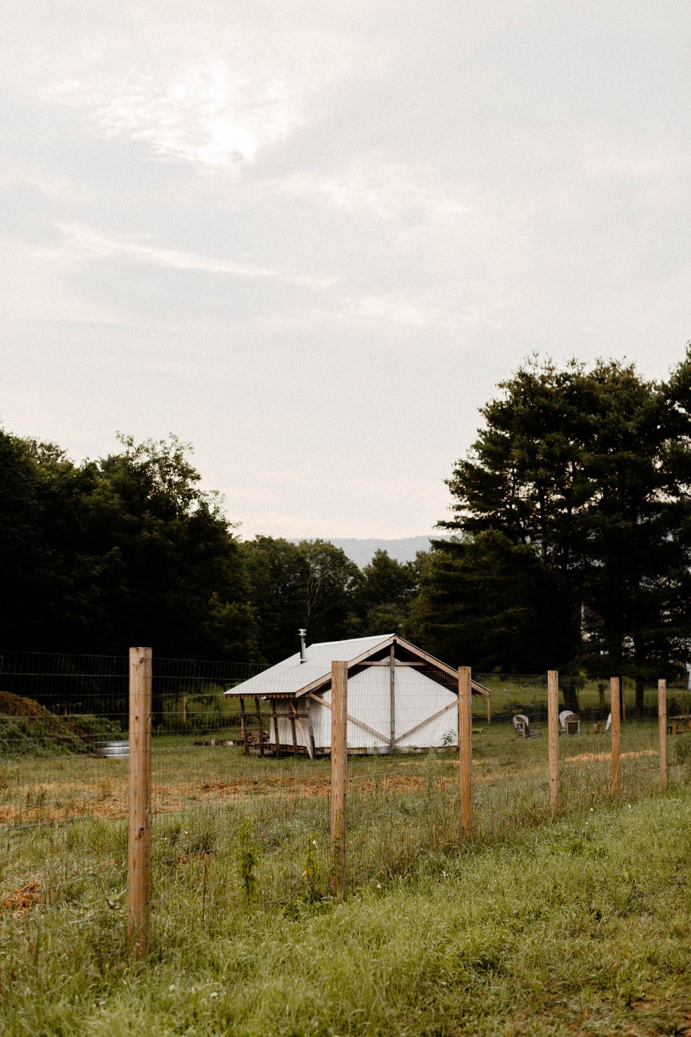 A white canvas tent structure stands in a fenced field with pine trees in the background.