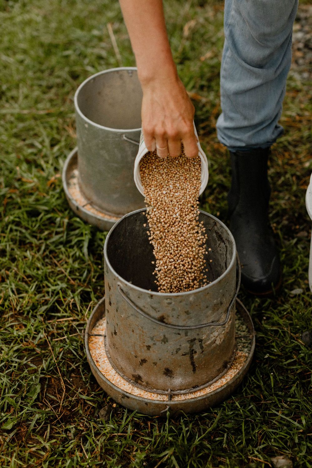 Feed or grain being poured between metal containers on grassy ground.