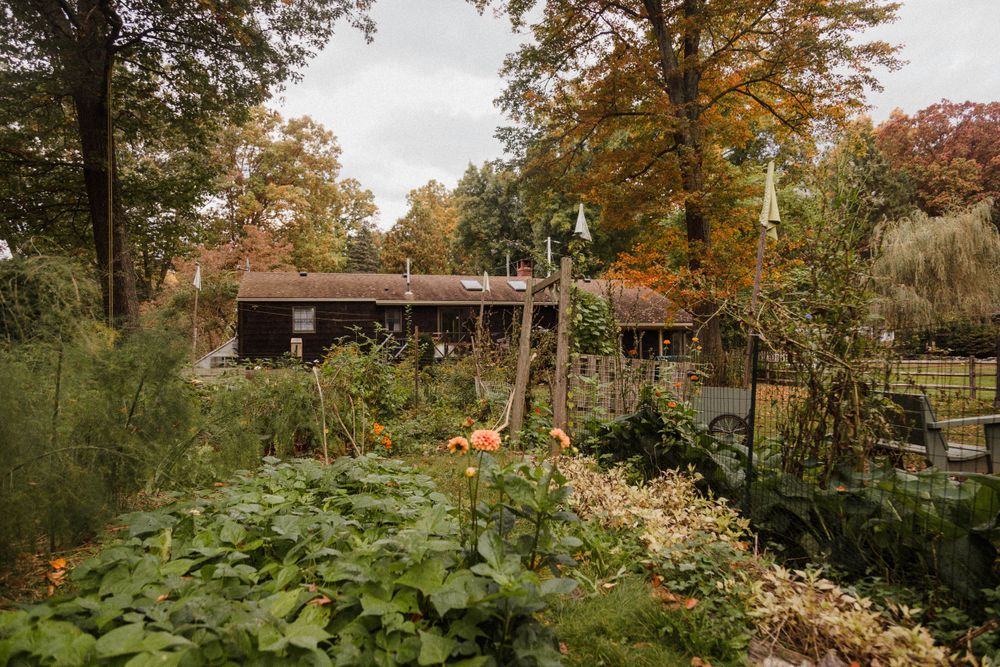 Rustic garden shed surrounded by lush greenery and fall foliage.