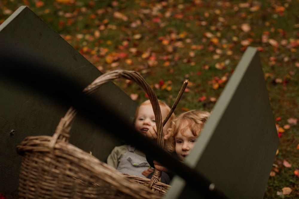 A wicker basket sits among fallen autumn leaves.