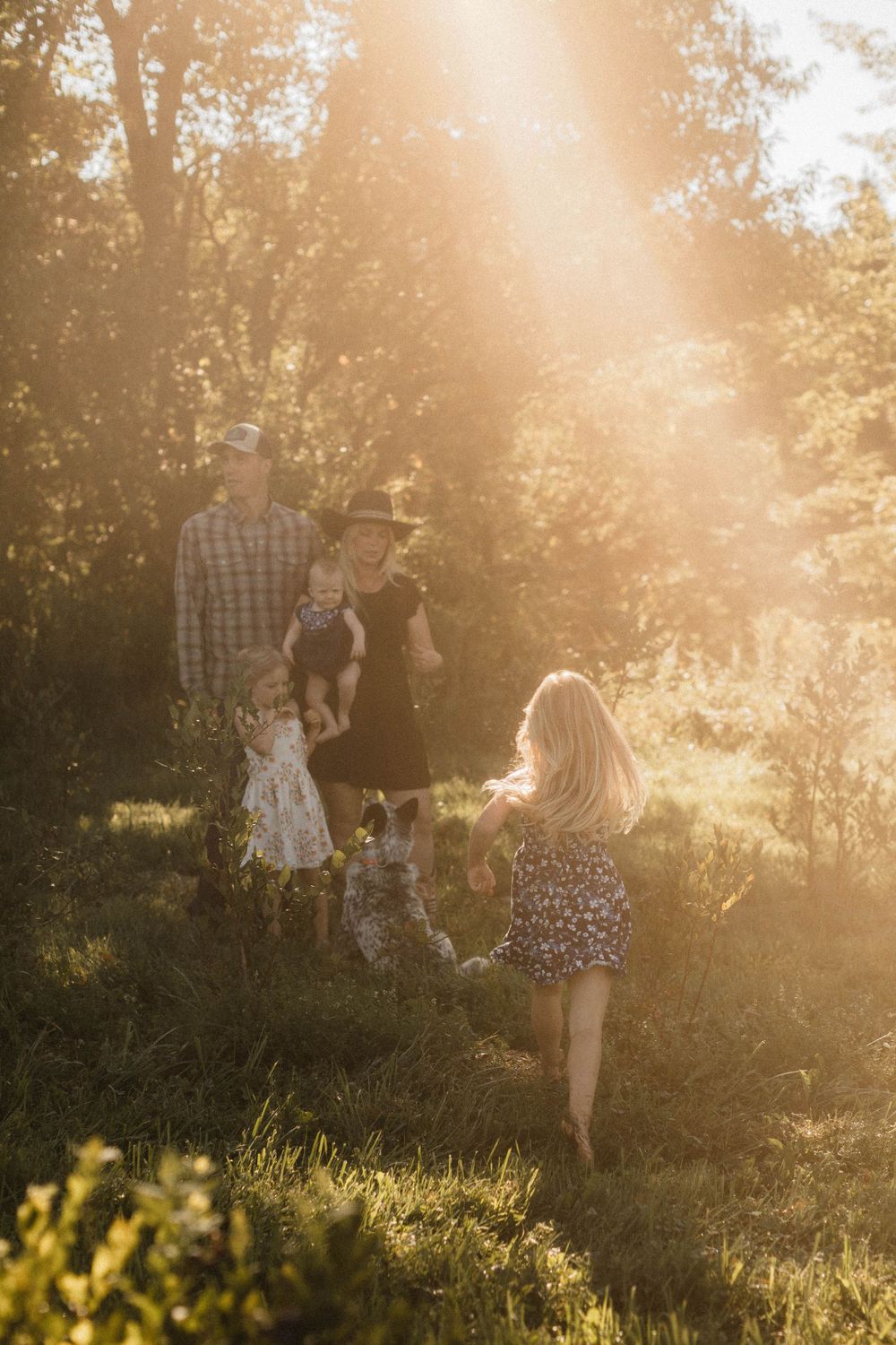 Silhouetted figures playing in a sunlit meadow during golden hour.