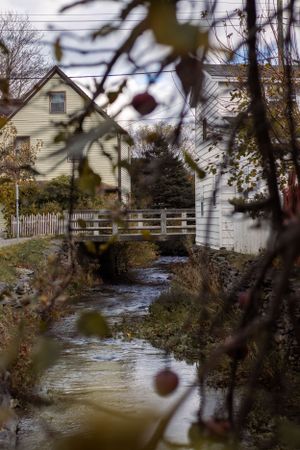 A small bridge spans a stream between white houses with a picket fence, viewed through autumn tree branches.