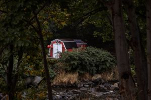 A small red and white cabin nestled in the woods peeks through trees and foliage at dusk.