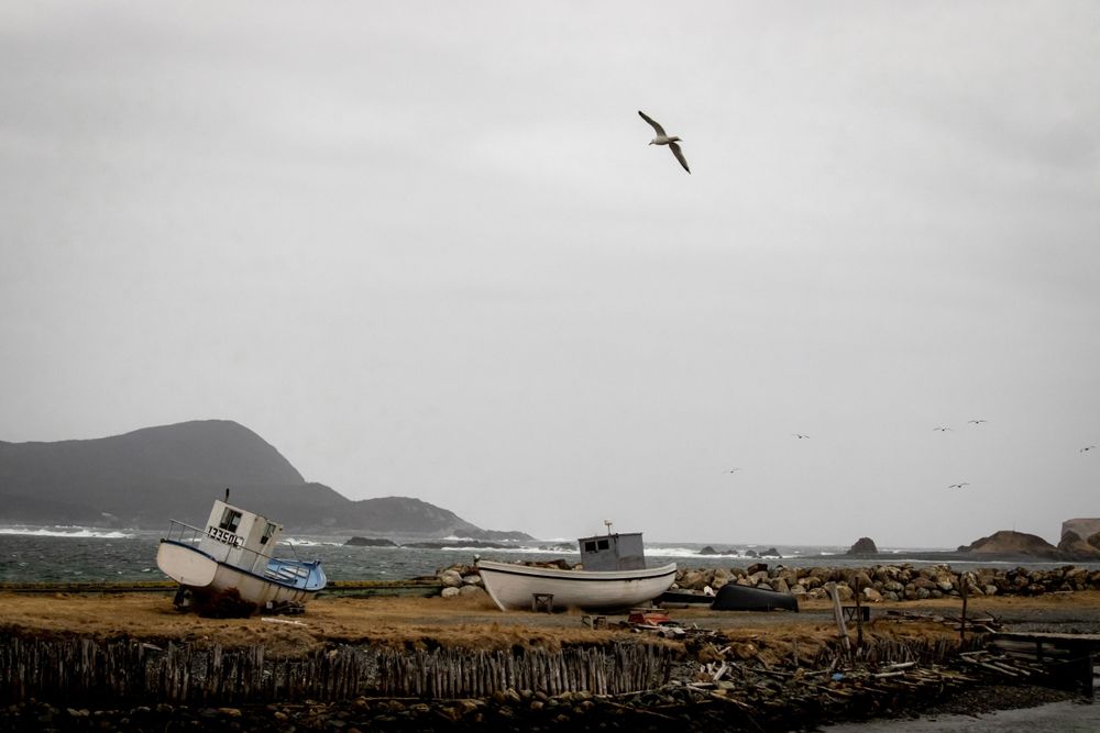 Abandoned fishing boats rest on shore against a moody coastal landscape with seabirds flying overhead.