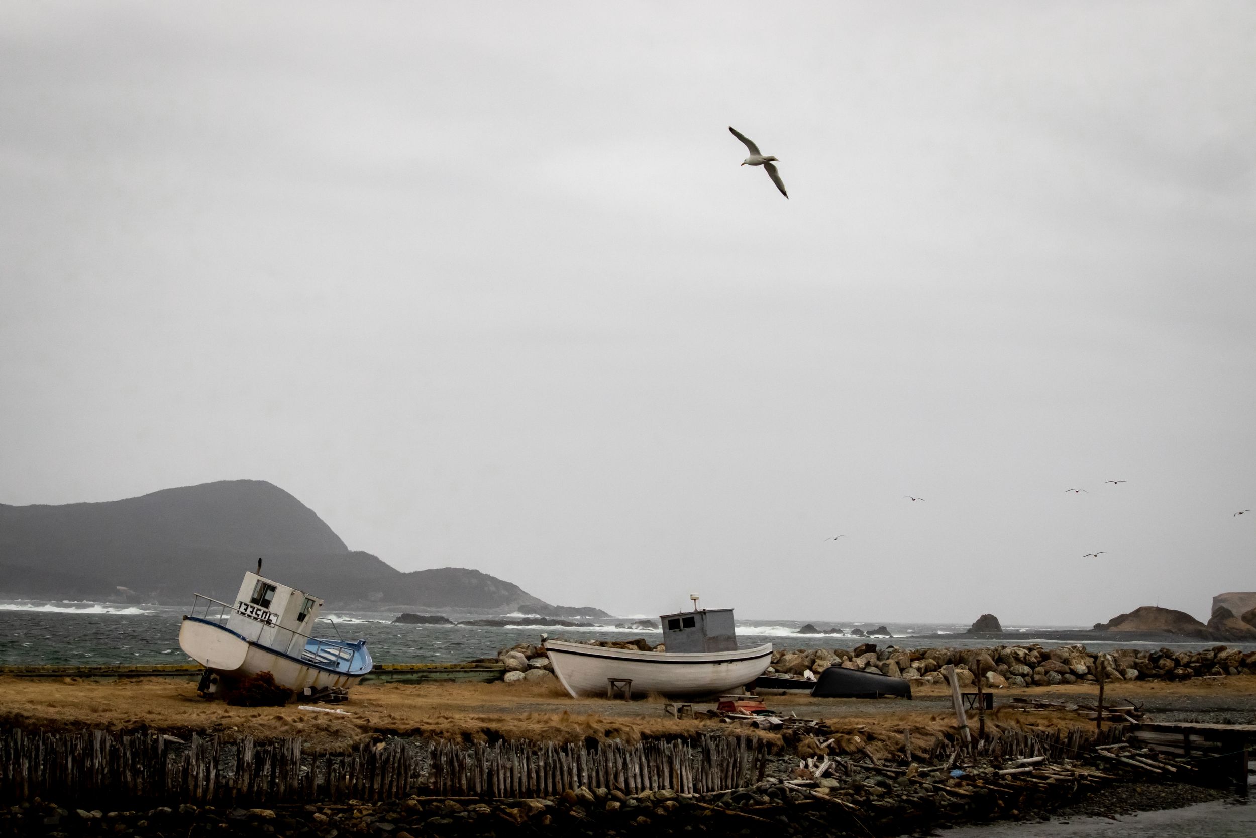 Abandoned fishing boats rest on shore against a moody coastal landscape with seabirds flying overhead.