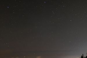 A dark night sky filled with twinkling and shooting stars stretches above silhouetted trees on the horizon.