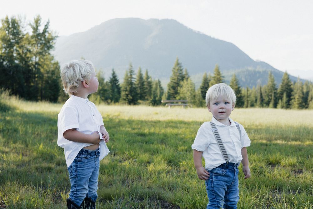 Two children stand in a grassy meadow with a mountain and evergreen trees in the background.