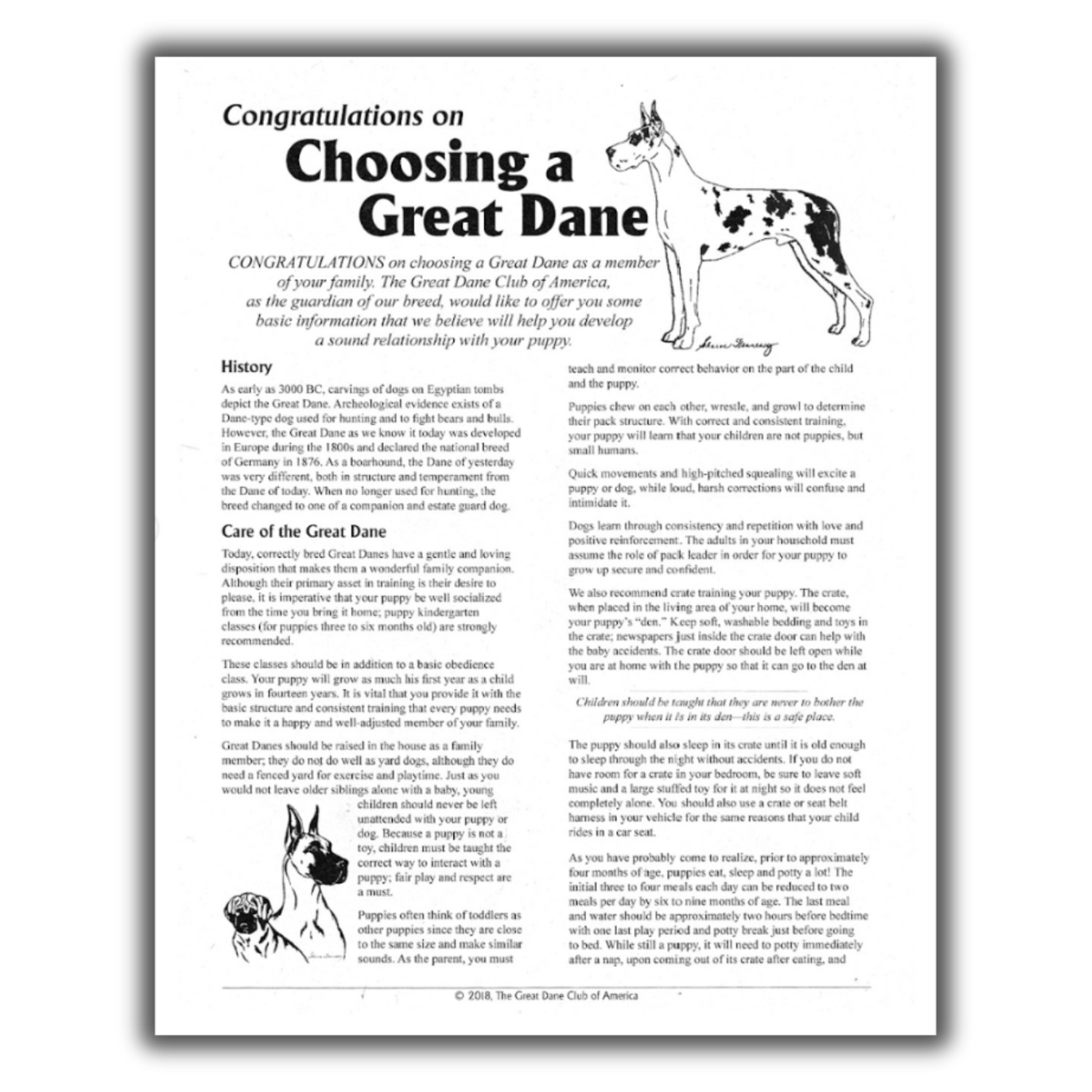 Great Dane Club of America informational pamphlet on choosing and caring for a Great Dane puppy.