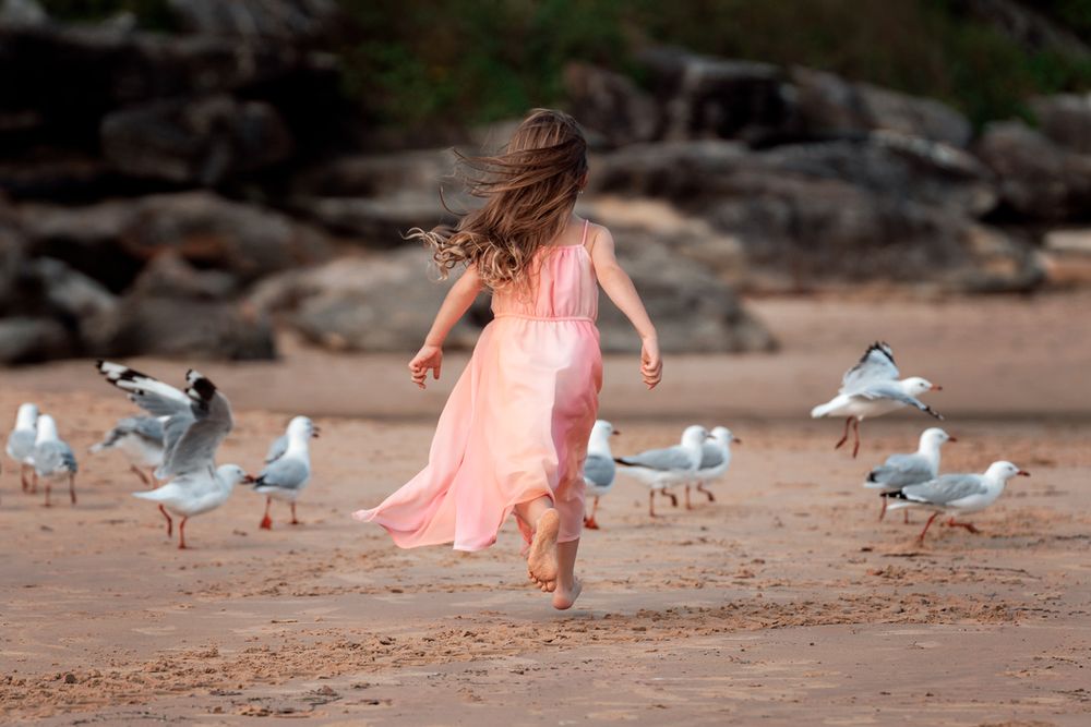 Happy girl is chasing after seagulls during a family photoshoot in Sydney
