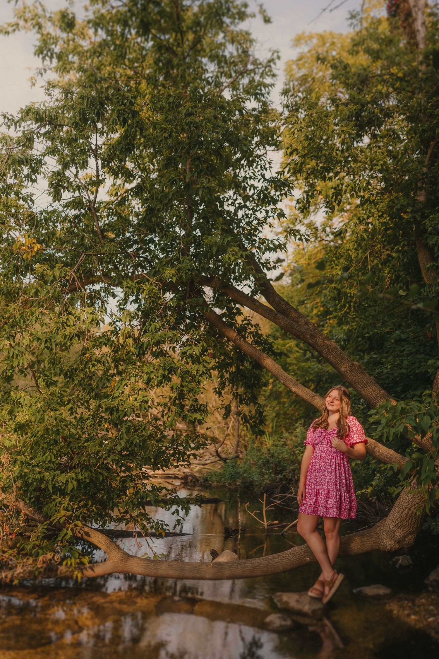 Someone in a pink dress sits dreamily on a fallen tree branch over a peaceful stream at golden hour.