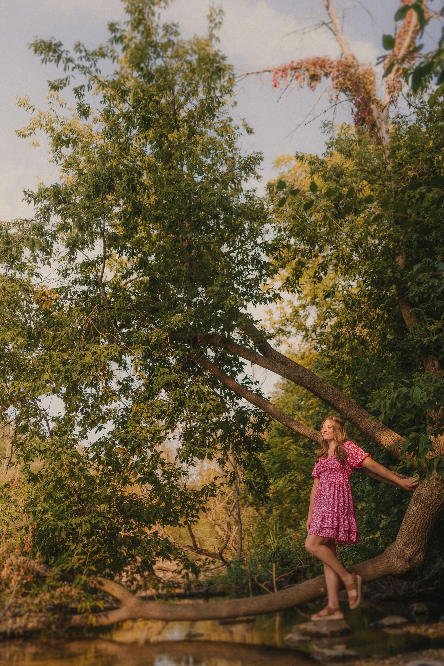 A person in a pink dress stands on a tree branch near water during golden hour as sunlight filters through leaves.