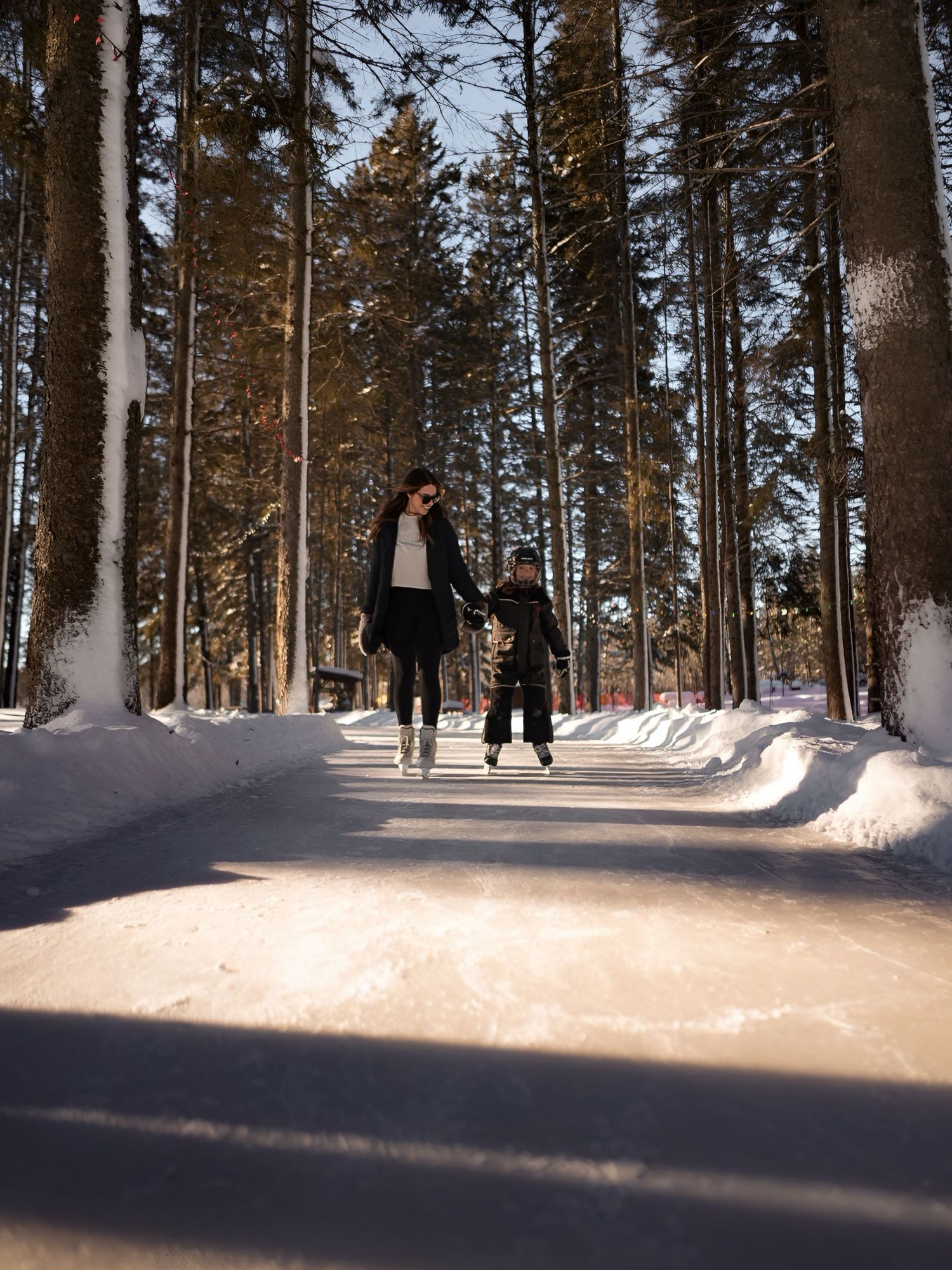 Snow-covered path through tall pine trees on a sunny winter day.