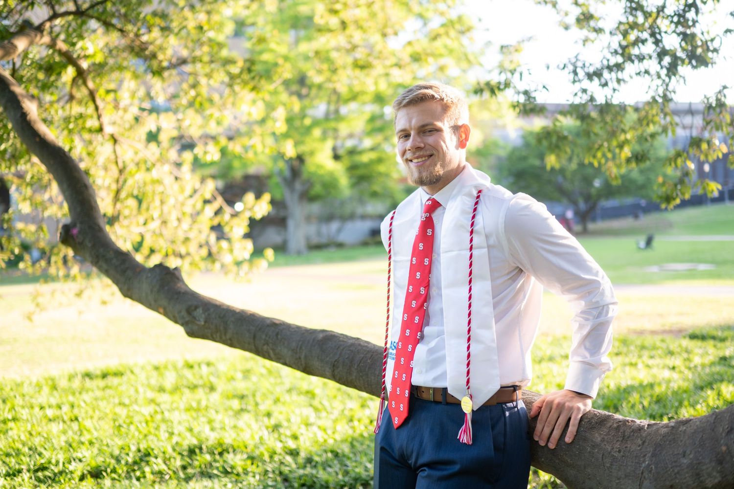 A graduate in formal attire poses confidently by a tree in sunlit park.
