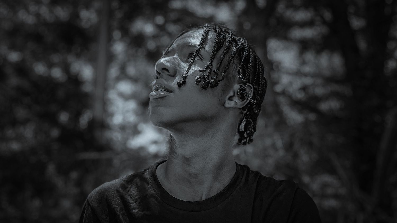 Professional photographer in dark attire photographs outdoors in a sunny wooded area with pine trees.