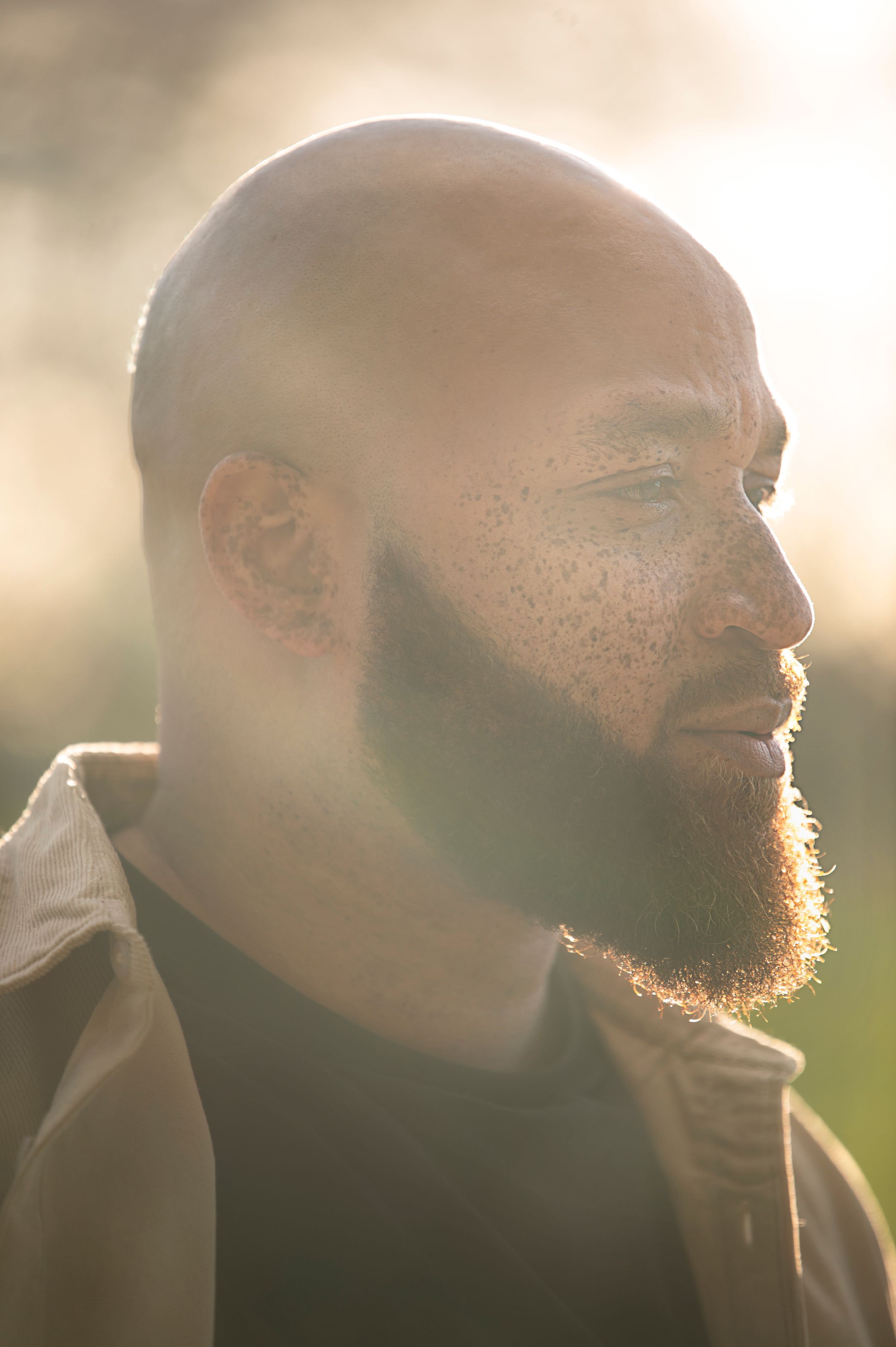 Profile silhouette of a bald man with a beard in warm sunlight creating a dramatic backlit effect.