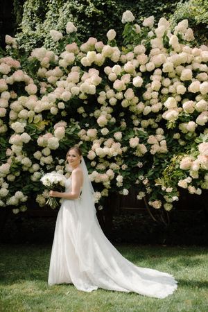 A bride in a flowing white gown stands elegantly against a backdrop of lush hydrangea bushes with cream-colored blooms.