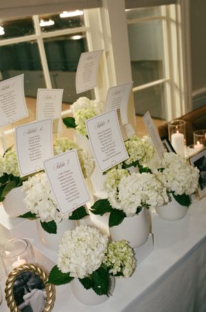Elegant wedding seating chart display with white hydrangea floral arrangements in white pots on a draped table.