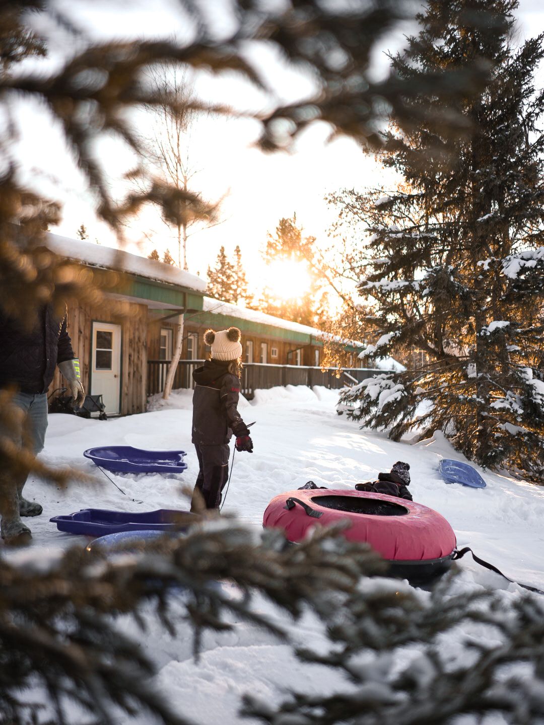 Multiple snow tubes lined up on a snowy slope at sunset with pine trees framing the scene.