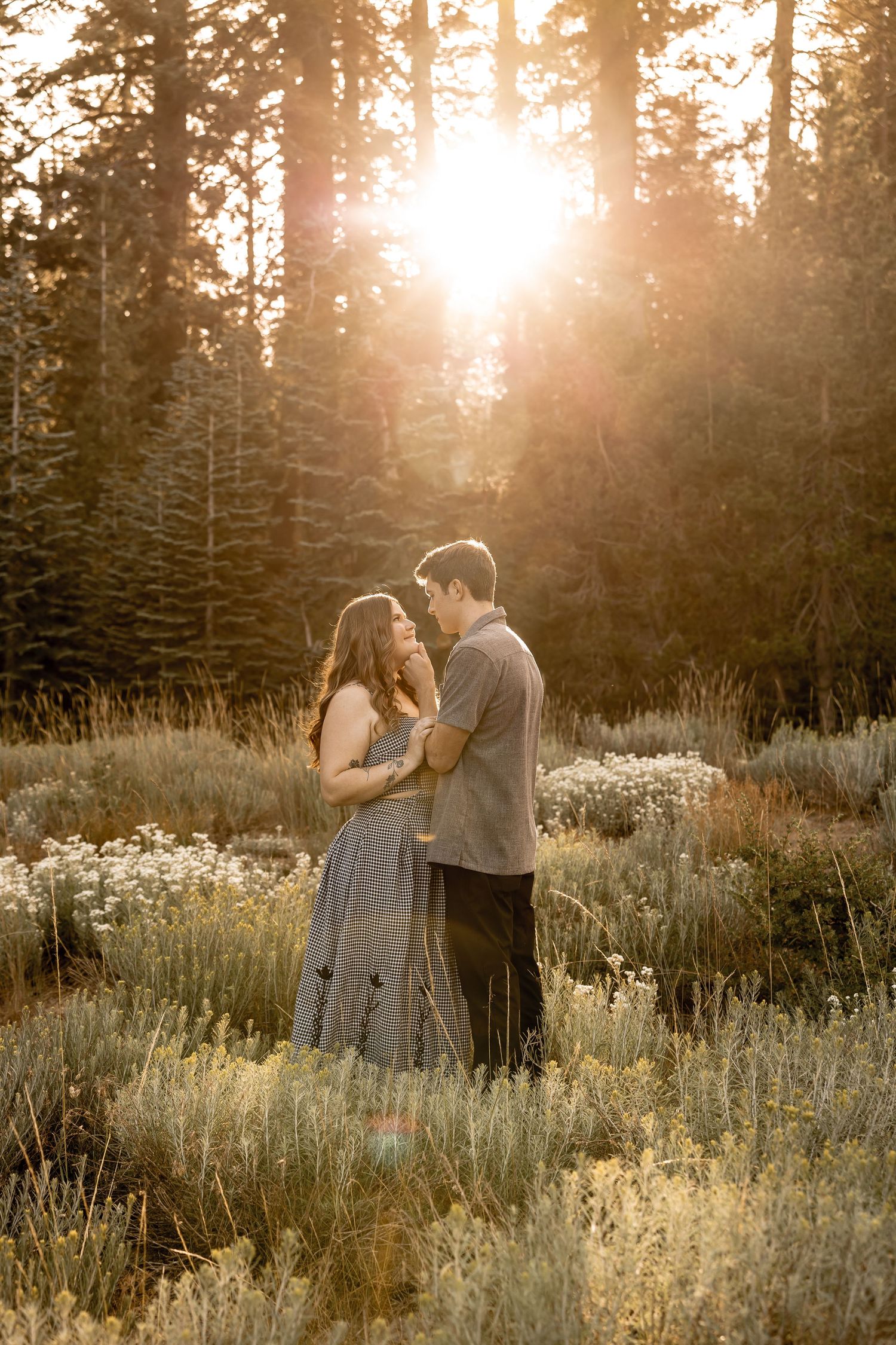 romantic engagement session at Lassen national park surrounded by big beautiful trees