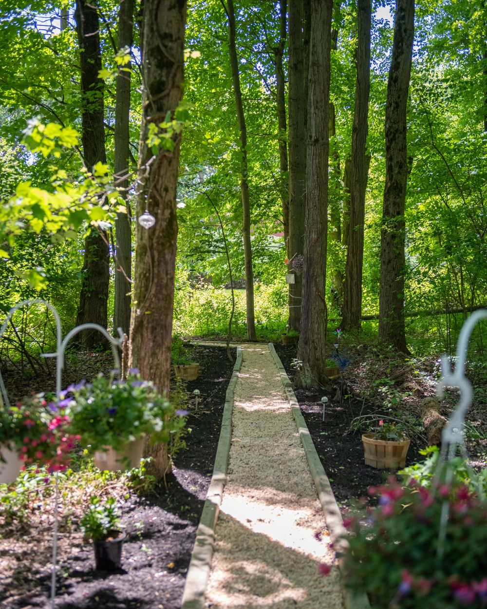 A serene garden path lined with trees and flowers leads through a wooded area.