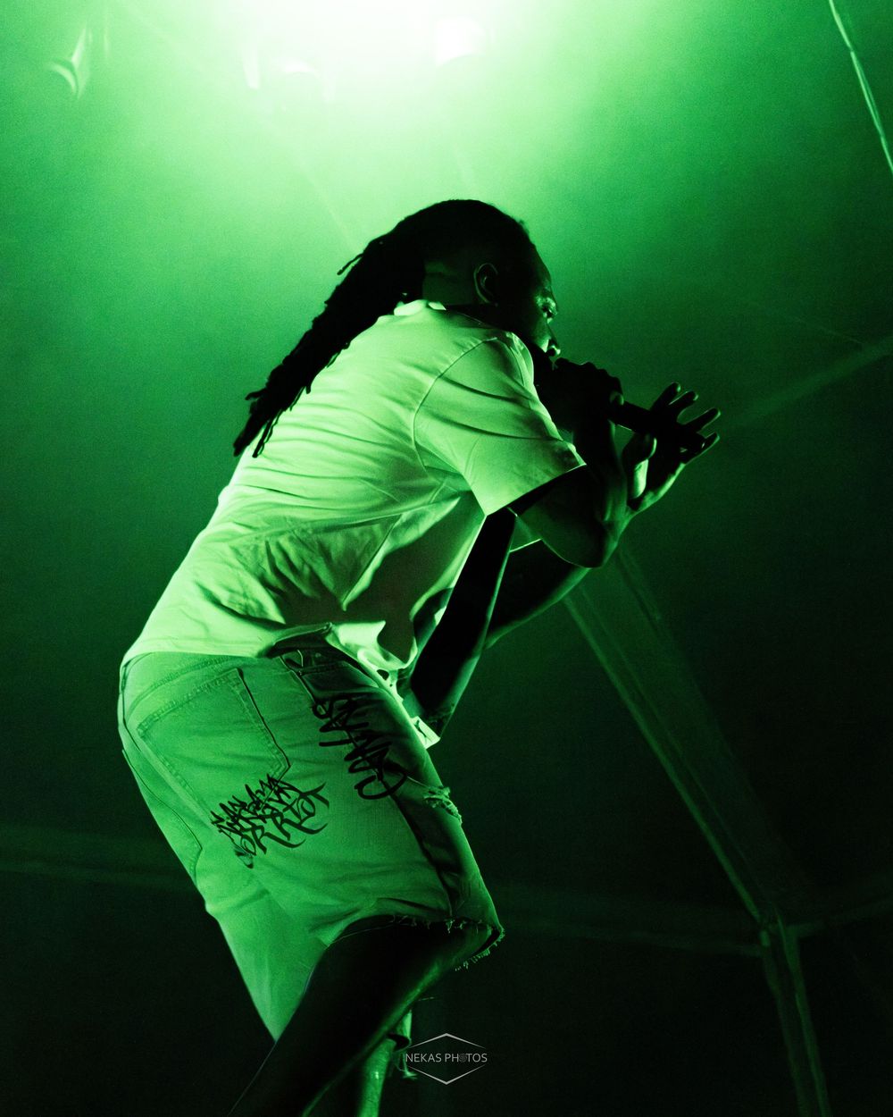 A performer with dreadlocks leans forward holding a microphone on stage bathed in dramatic green lighting.