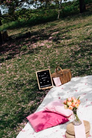 Happy Mothers Day letter board with picnic basket, pink pillows, and tulips on white blanket under cherry blossom trees.